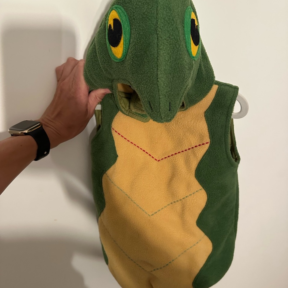 Pottery Barn Turtle or Dinosaur Costume size 12-24m.